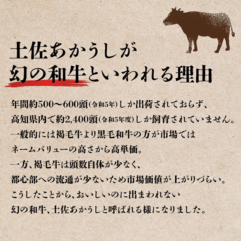 土佐あかうし ロース 焼肉用 700g 希少 土佐 あかうし ロース 約700g 冷凍 国産 牛肉 牛ロース 焼肉用 焼き肉 和牛 BBQ バーベキュー キャンプ キャンプ飯 キャンプめし MT-08
