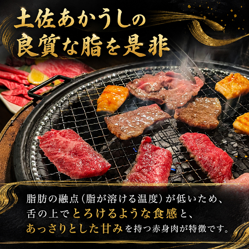 土佐あかうし ロース 焼肉用 700g 希少 土佐 あかうし ロース 約700g 冷凍 国産 牛肉 牛ロース 焼肉用 焼き肉 和牛 BBQ バーベキュー キャンプ キャンプ飯 キャンプめし MT-08