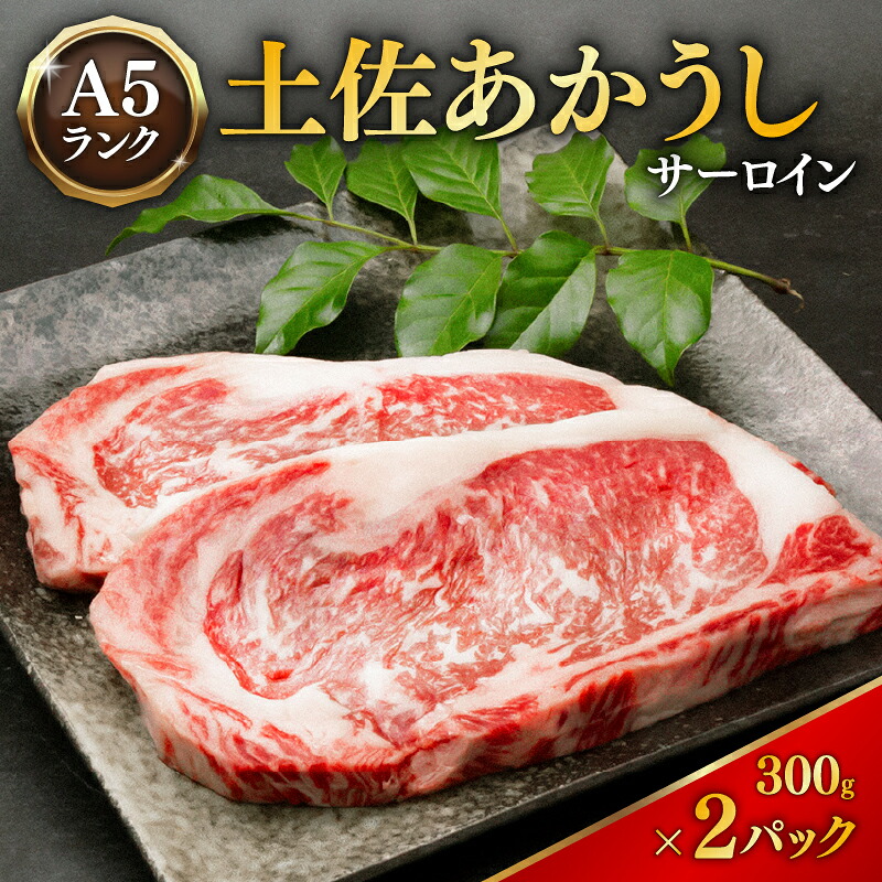 土佐あかうし サーロインステーキ 300g×2枚 希少 土佐あかうし サーロイン 約300g×2枚 600g  冷凍 国産 高級 和牛 あか牛 ステーキ ロース 牛肉 肉 焼肉 焼き肉 MT0010