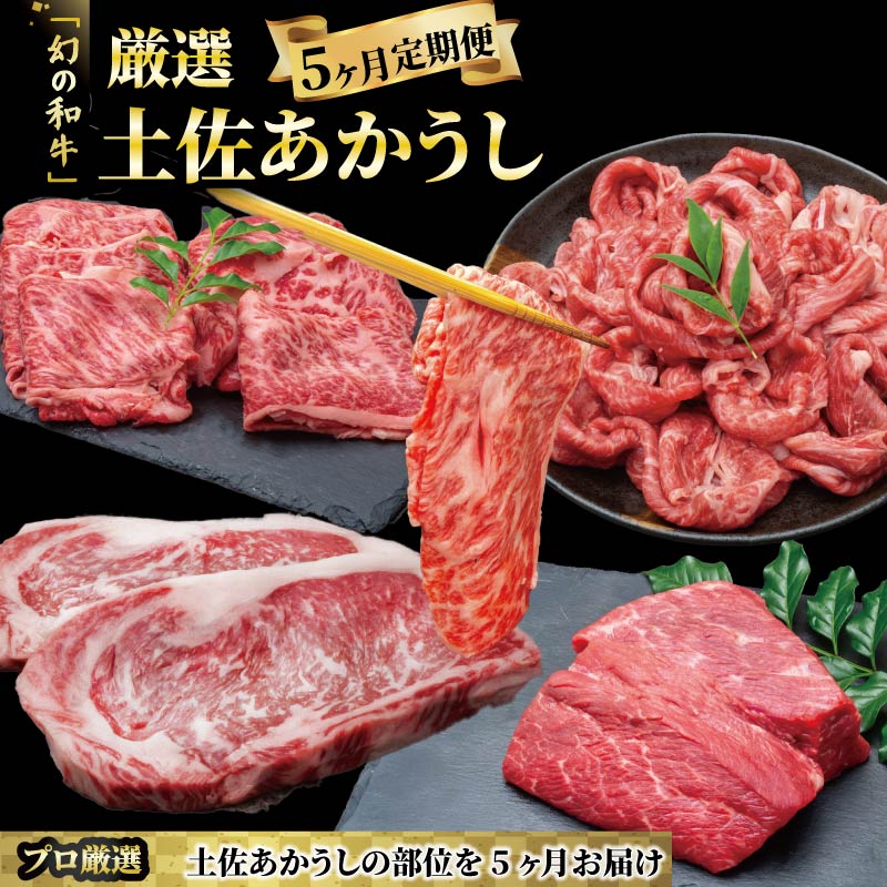 希少 土佐あかうし 定期便 5回 土佐あかうし 厳選部位 あかうし 土佐あかうし 赤うし 赤身 ブランド牛 国産牛 高級 和牛 あか牛 ステーキ ロース カルビ バラ 焼肉 焼き肉 MT-13