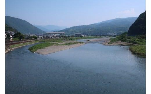 希少 土佐あかうし 定期便 5回 土佐あかうし 厳選部位 あかうし 土佐あかうし 赤うし 赤身 ブランド牛 国産牛 高級 和牛 あか牛 ステーキ ロース カルビ バラ 焼肉 焼き肉 MT-13
