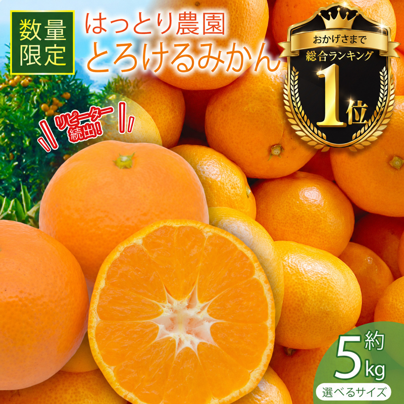 【総合ランキング1位】【選べる】 とろけるみかん S～Lサイズ 5kg 服部農園 早期予約 みかん 5kg 柑橘 蜜柑 期間限定 季節限定 先行予約 ふるさと納税 人気 クリスマス HT-05