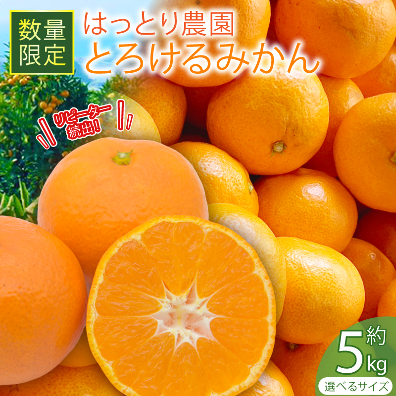 【選べる】 とろけるみかん S～Lサイズ 5kg 服部農園 早期予約 家庭用 みかん 5kg 柑橘 蜜柑 期間限定 季節限定 先行予約 ふるさと納税 人気 クリスマス HT-05