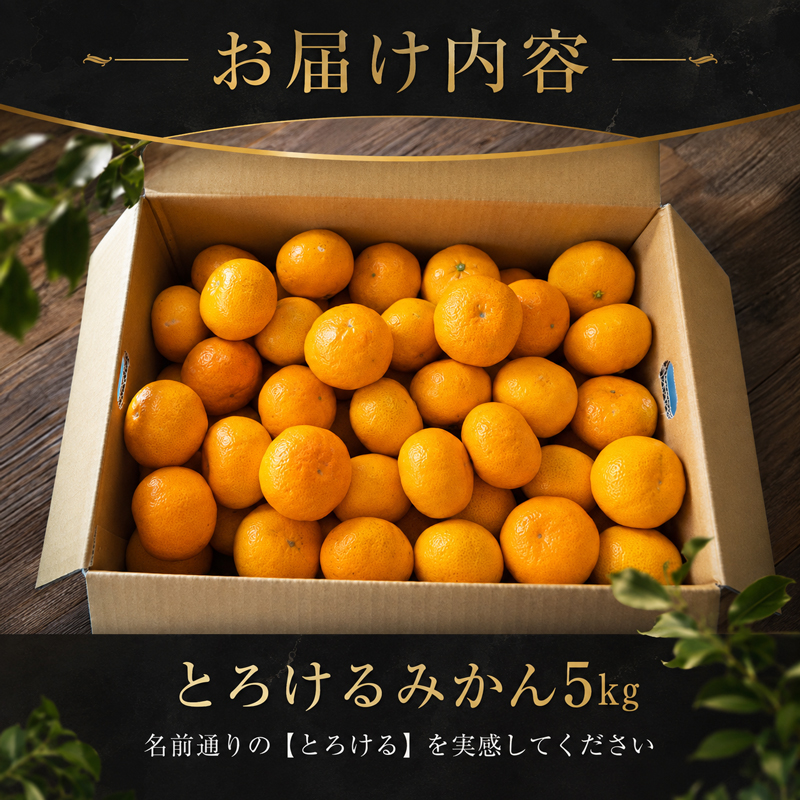 【選べる】 とろけるみかん S～Lサイズ 5kg 服部農園 早期予約 家庭用 みかん 5kg 柑橘 蜜柑 期間限定 季節限定 先行予約 ふるさと納税 人気 クリスマス HT-05