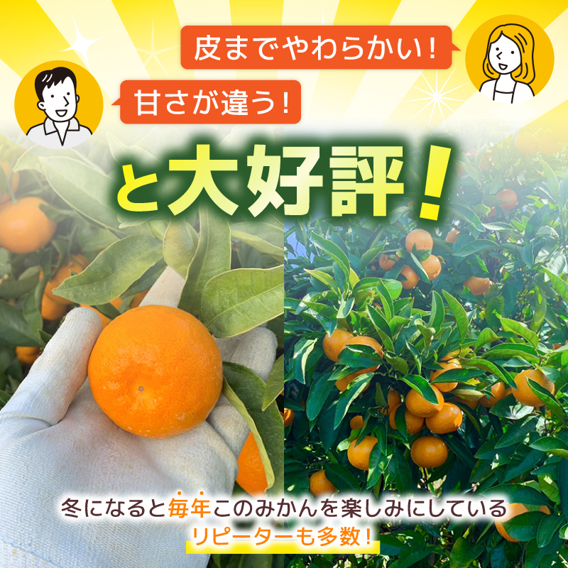 【選べる】 とろけるみかん S～Lサイズ 5kg 服部農園 早期予約 家庭用 みかん 5kg 柑橘 蜜柑 期間限定 季節限定 先行予約 ふるさと納税 人気 クリスマス HT-05