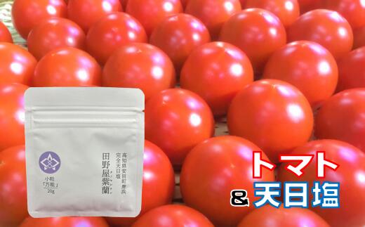 【先行受付】 安田町産 完全天日塩 新鮮 トマト セット 完熟 トマト と 完全天日塩 セット 年末 ミディトマト トマト 産地直送 新鮮 もぎたて 塩職人 野菜 とまと 海水 塩 TR-19