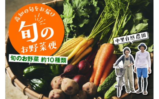 【 定期便 4～8回 】野菜 セット 8～10種類 詰め合わせ 野菜詰め合わせ 野菜セット 旬野菜 野菜詰め合わせセット 春 夏 秋 冬 高知 新鮮 農薬不使用 化学肥料不使用 生野菜 やさい フレッシュ