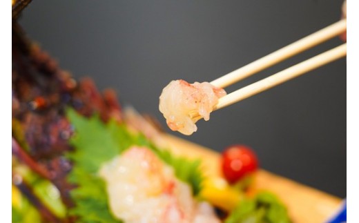 伊勢海老 1.6kg 1尾 ~ 4尾 レシピ 付 天然 産地直送 活き 1600g 伊勢エビ 伊勢 海老 エビ イセエビ えび いせえび 刺身 さしみ 焼き物 味噌汁 鍋 塩ゆで ボイル エビフライ