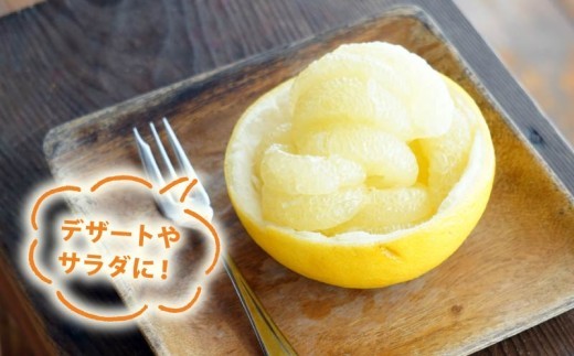 【令和9年1月下旬発送開始】　土佐文旦 5kg  3L~5L  40箱限定 大玉 家庭用 文旦 ぶんたん みかん mikan 蜜柑 ミカン 産地直送 国産 減農薬 特産品 ゼリー ジュース  ジャム