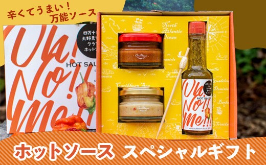 ホットソース 60g