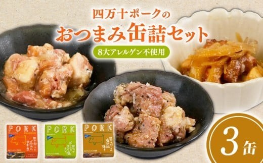 ブランド豚 四万十ポーク 缶詰 3缶