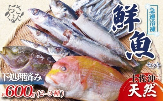 冷凍魚 セット 600g