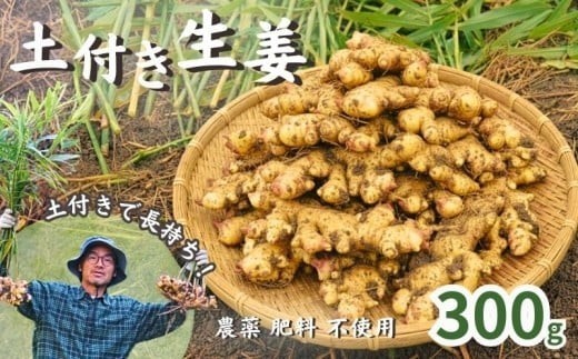こだわり 農法 生姜 土付き 300g