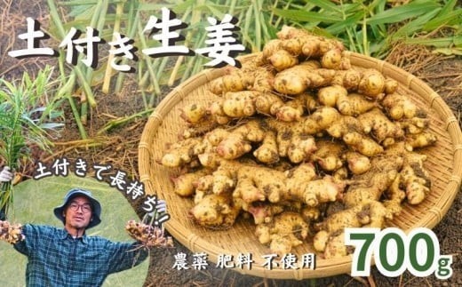 こだわり 農法 生姜 土付き 700g