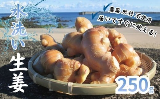 こだわり 農法 生姜 水洗い 250g