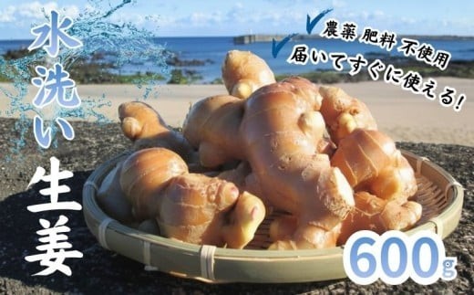 こだわり 農法 生姜 水洗い 600g