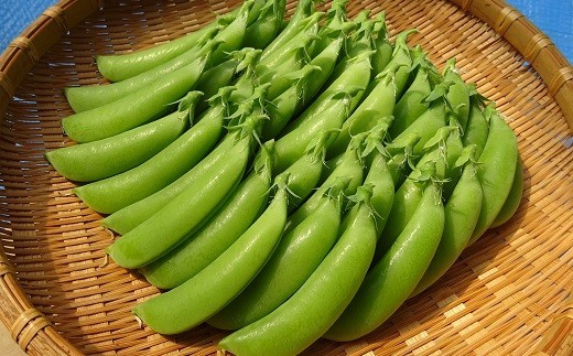 スナップエンドウ 2kg