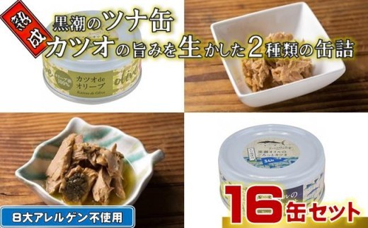熟成 黒潮 ツナ缶 2種