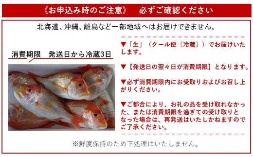 手釣り レンコダイ 1.6kg前後 旬の魚シリーズ [1276]