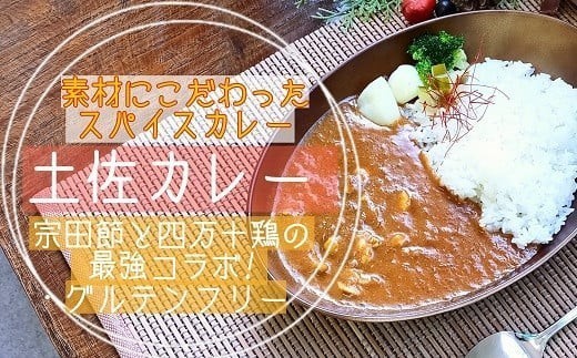 カレー 5食 セット