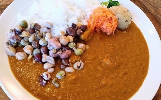 カレー 2種×3食