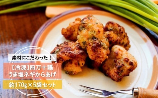 うま塩 ネギ からあげ 約170g×5袋