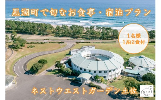 高知 宿泊券 食事 宿泊プラン 1名様