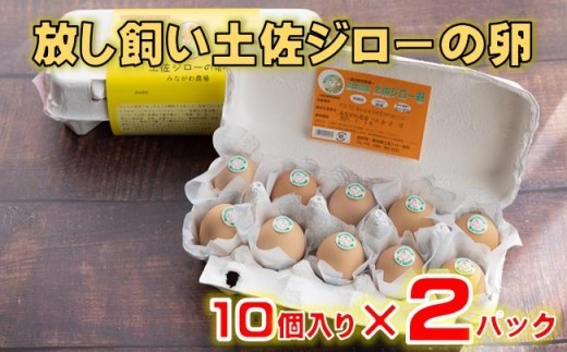 放し飼い 土佐ジロー 卵 20個 入り 土佐 地鶏 地鶏卵 天然卵 たまご 玉子 特産品 濃厚 卵かけご飯 TKG だし巻き卵 プリン 茶碗蒸し スイーツ 焼き菓子 人気 高知 黒潮町 ふるさと納税卵