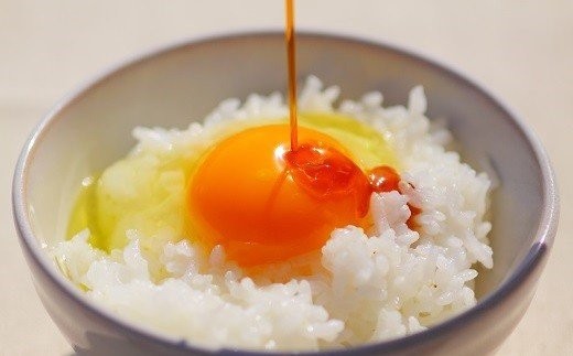 放し飼い 土佐ジロー 卵 20個 入り 土佐 地鶏 地鶏卵 天然卵 たまご 玉子 特産品 濃厚 卵かけご飯 TKG だし巻き卵 プリン 茶碗蒸し スイーツ 焼き菓子 人気 高知 黒潮町 ふるさと納税卵