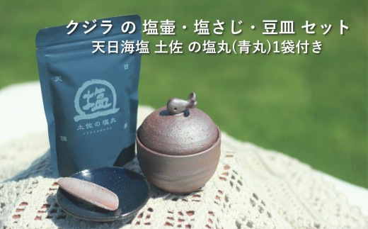 塩壷 塩さじ 豆皿 天日海塩 セット クジラの塩壷