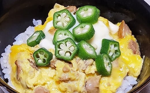 地鶏 缶詰 はちきん地鶏 ゆず塩仕立て 95g×6缶 柚子塩 柚子こしょう 鶏肉 缶詰セット 惣菜 常温 焼き鳥 おかず 缶つま 手軽 便利 国産鶏 土佐はちきん 地鶏缶詰 柚子塩缶詰 鶏もも肉 とり