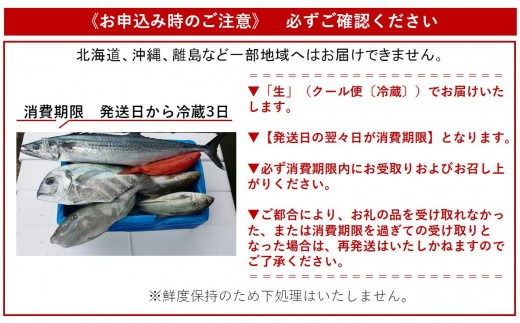 漁師に おまかせ 鮮魚 セット A 約 3kg 海鮮 新鮮 魚 お魚 魚介類 魚貝 詰め合わせ 冷蔵 高知 黒潮町 [1075]