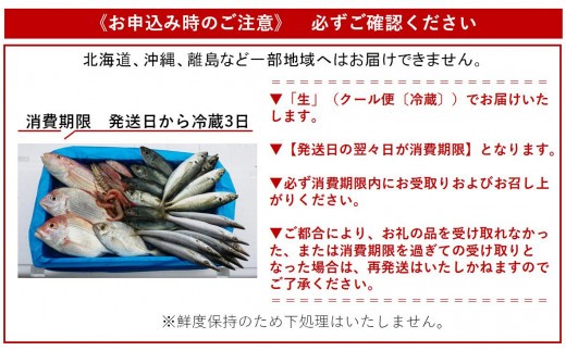 漁師に おまかせ 鮮魚 セット B 約 2kg 海鮮 新鮮 魚 お魚 魚介類 魚貝 詰め合わせ 冷蔵 高知 黒潮町 [1076]