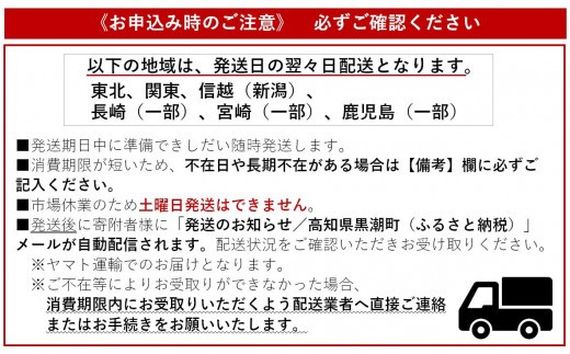 漁師に おまかせ 鮮魚 セット B 約 2kg 海鮮 新鮮 魚 お魚 魚介類 魚貝 詰め合わせ 冷蔵 高知 黒潮町 [1076]