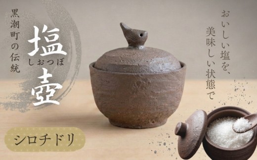 塩壷 シロチドリ 日常屋 調味料入れ 食器 保存容器