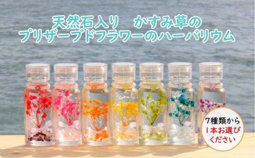 ハーバリウム プリザーブドフラワー かすみ草