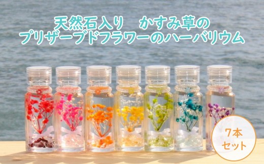ハーバリウム プリザーブドフラワー かすみ草
