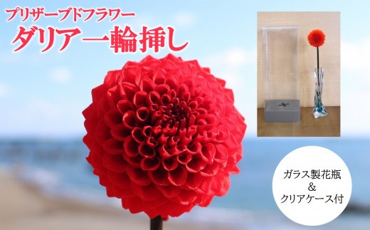 プリザーブドフラワー ダリア 一輪挿し 花瓶