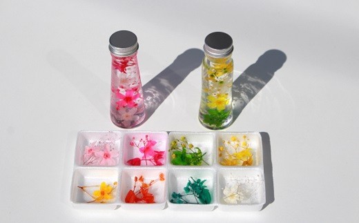 高知から送るハーバリウム作りキット【華】2本セット [1291]