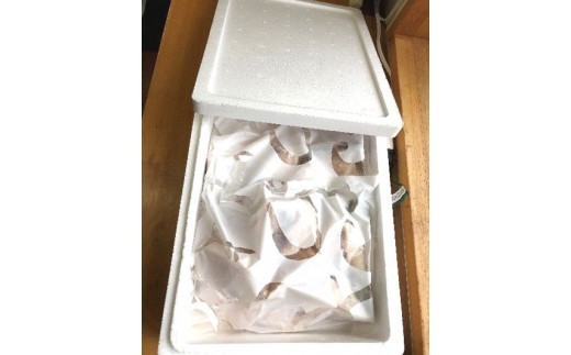土佐沖 天然 さばフグ 切り身 鍋用 400g×2袋 約800g 冷凍 ふぐ 鯖フグ 鯖河豚 さばふぐ てっちり  ふぐちり 鍋 鍋セット 人気 新鮮 魚 魚介類 魚貝 海鮮 切身魚 から揚げ 煮付け