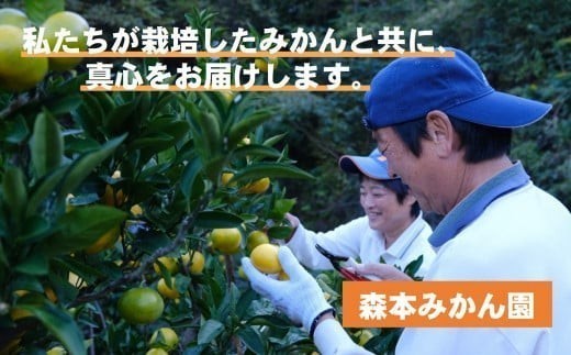 商標登録 潮風みかん 5kg みかん ミカン 蜜柑 柑橘 果物 フルーツ 高知県 高知 黒潮町 [1289‐2]