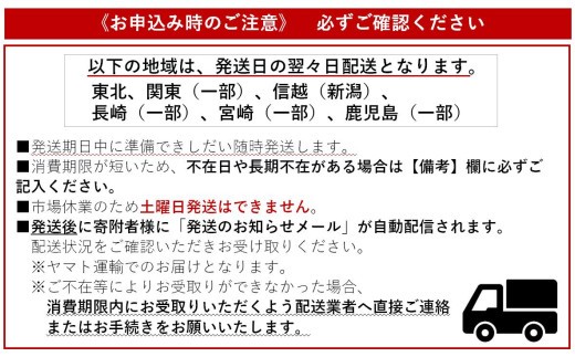 初鰹 1.0kg 2尾 新鮮 天然 国産 かつお 鰹 カツオ 旬 鮮魚 魚貝 魚介類 海鮮 魚 お魚 季節限定 期間限定 土佐佐賀港水揚げ 高知県 高知 黒潮町 [1278]