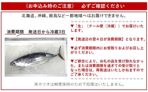 初鰹 2.0kg 1尾 新鮮 天然 国産 かつお 鰹 カツオ 旬 鮮魚 魚貝 魚介類 海鮮 魚 お魚 季節限定 期間限定 土佐佐賀港水揚げ 高知県 高知 黒潮町 [1279-2]