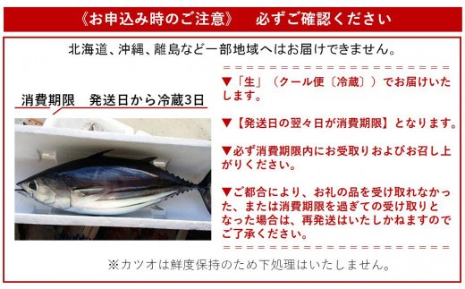 鮮魚 初鰹 3.0kg 1尾 土佐佐賀港水揚げ 新鮮 天然 鰹 かつお 産地直送 刺身 お刺身 さしみ 魚 海鮮 魚介 お祝い ギフト 贈答用 高知 黒潮町 [0598]
