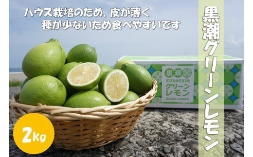 温室 グリーン レモン 2kg