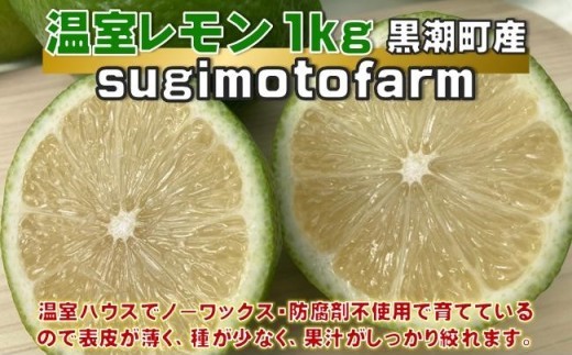 レモン 1kg 温室 レモン れもん 柑橘 柑橘類 檸檬 フルーツ ふるーつ 果物 くだもの 果汁 ジュース レモンサワー チューハイ 国産 国産レモン ふるさと納税レモン 季節限定 防腐剤不使用 ワ