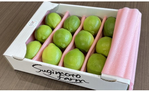 レモン 1kg 温室 レモン れもん 柑橘 柑橘類 檸檬 フルーツ ふるーつ 果物 くだもの 果汁 ジュース レモンサワー チューハイ 国産 国産レモン ふるさと納税レモン 季節限定 防腐剤不使用 ワ
