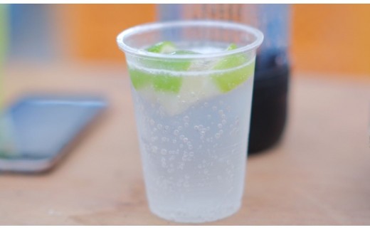 レモン 1kg 温室 レモン れもん 柑橘 柑橘類 檸檬 フルーツ ふるーつ 果物 くだもの 果汁 ジュース レモンサワー チューハイ 国産 国産レモン ふるさと納税レモン 季節限定 防腐剤不使用 ワ