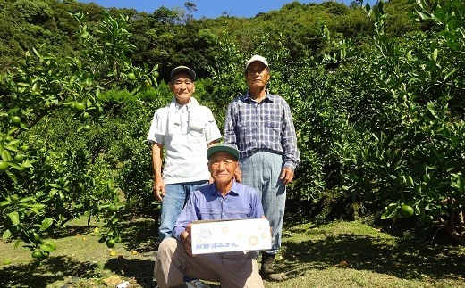 ［1403］黒潮熊野浦 わたなべ農園の温州みかん 5kg