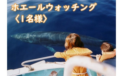ホエールウォッチング